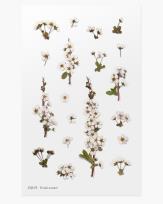 Opakowanie Naklejki ozdobne kwiaty Tawuła