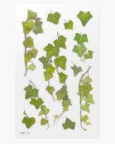 Opakowanie Naklejki ozdobne roślinne Bluszcz