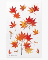 Opakowanie Naklejki ozdobne roślinne Klon palmowy