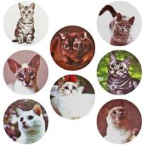 Opakowanie Naklejki papierowe na taśmie Koty 25mm 500szt