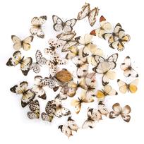 Opakowanie Naklejki pet motyle Black & white 40 szt.