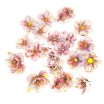 Opakowanie Naklejki połyskujące pet kwiaty pink blush 20 szt.