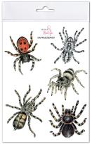 Opakowanie Naprasowanki Pająki