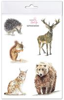 Opakowanie Naprasowanki Zwierzęta leśne