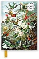 Opakowanie Notatnik A5 gładki TW Kolibry Ernst Haeckel