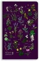 Opakowanie Notatnik B6 linia BR Zaklęcia i mikstury