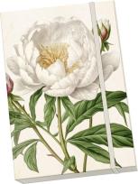 Opakowanie Notatnik ozdobny A5 STNOTE 138 Piwonie i róże