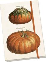 Opakowanie Notatnik ozdobny A5 STNOTE 143 Dynie