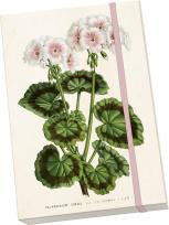 Opakowanie Notatnik ozdobny A5 STNOTE 148 Biała pelargonia