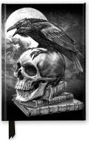 Opakowanie Notatnik quatro linia TW Pszczoła Jade Mosinski