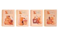 Opakowanie Notes B6 80K linia Kapibara mix