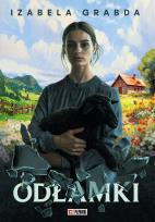 Okładka książki Odłamki