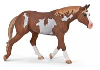 Opakowanie Ogier American Paint Horse Maści Kasztanowatej
