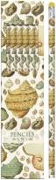 Opakowanie Ołówki ozdobne STPEN41 muszle 6 sztuk