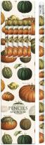 Opakowanie Ołówki ozdobne STPEN43 dynie 6szt