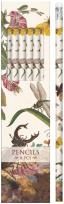 Opakowanie Ołówki ozdobne STPEN54 owady 6szt