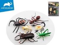 Opakowanie Owady 3x19x4cm 6szt