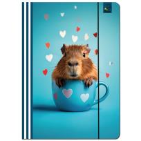 Opakowanie Paczka Teczka A4 z gumką Kapibara morska 5 sztuk