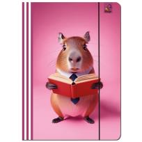 Opakowanie Paczka Teczka A4 z gumką Kapibara różowa  5 sztuk