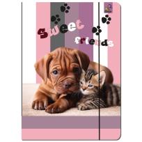 Opakowanie Paczka Teczka A4 z gumką Pies i Kot 5 sztuk