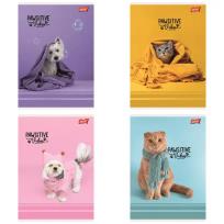 Opakowanie Paczka Zeszyt A5 32k.krata okładka laminowana Pawsitive Vibes mix 15 sztuk