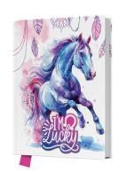 Opakowanie Pamiętnik z kłódką I am Lucky 80k. 14x18cm