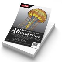 Opakowanie Papier A6 powlekany kredowany gloss 100 ark.150g