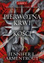 Okładka książki Pierwotna Krwi i Kości. Z krwi i popiołu. Tom 6