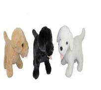 Opakowanie Pies 20X30cm MIX