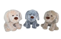 Opakowanie Pies 30cm MIX