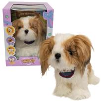Opakowanie Piesek Shih Tzu