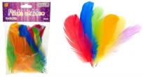 Opakowanie Piórka 10-12cm 50szt