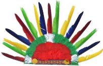 Opakowanie Pióropusz wodza