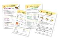 Opakowanie Plansze edukacyjne Odmienne części mowy A4