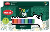 Opakowanie Plastelina 12 kolorów Tropicool