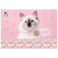 Opakowanie Podkład oklejany Cleo i Frank 45 DERFORM