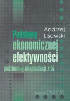 Okładka książki Podstawy ekonomicznej efektywności podziemnej eksploatacji zbóż