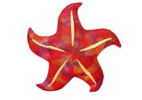 Opakowanie Poduszka pluszowa rozwgwiazda czerwona 20cm