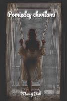 Okładka książki Pomiędzy chwilami