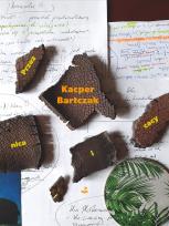 Okładka książki Przez nica i cacy