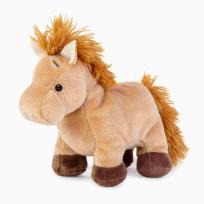 Opakowanie Przyjaciel niebieskiego noska Kucyk Dancer