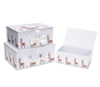 Opakowanie Pudełko prostokątne 3szt lama ROZETTE