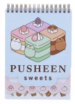 Opakowanie Pusheen Notes mini
