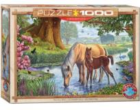 Opakowanie Puzzle 1000 Dzikie konie