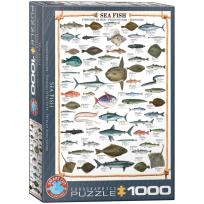 Opakowanie Puzzle 1000 Morskie ryby