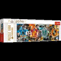 Opakowanie Puzzle 1000 Panoramiczne Spotkanie z Przyjaciółmi Friends 29050