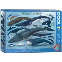 Opakowanie Puzzle 1000 Wieloryby i delfiny