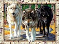 Opakowanie Puzzle 1000 Wilki