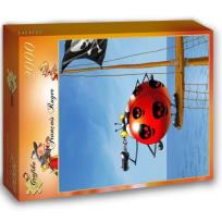 Opakowanie Puzzle 2000 Pirat, Ruyer Francois