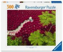 Opakowanie Puzzle 500 Sea of Red